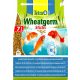  Tetra Pond Wheatgerm Sticks Fish Food 7 l