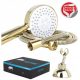 Sotbe Lark golden shower head with holder