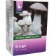  Set for growing Planto Oyster Mushroom Eryngii mushrooms in the form of a dry substrate with mycelium of 3 kg