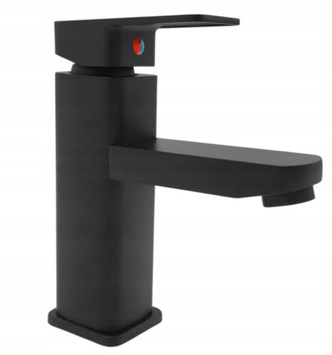 Focus Sanitar stand-up washbasin faucet, black