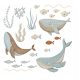 Decorative Wall Stickers SEA-OCEAN WALL STICKERS FOR KIDS No. 12