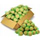  Fat balls for wild birds 100 pieces PL90-100