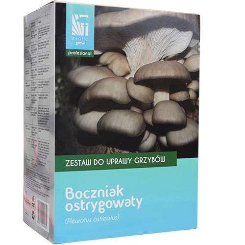  Set for growing Planto mushrooms, Oyster mushroom Pleurotus Dobrzeatus