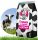  Rolmarket Pasture Grass 80 m² 2 kg