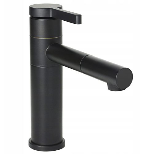 Focus Sanitar pedestal washbasin faucet Focus Sanitary black