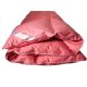  Couverture demi-daun 160x200 WHITE GOOSE HALBDAUNEN