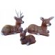  Deer Deer Deer Deer Ceramic Garden Garden