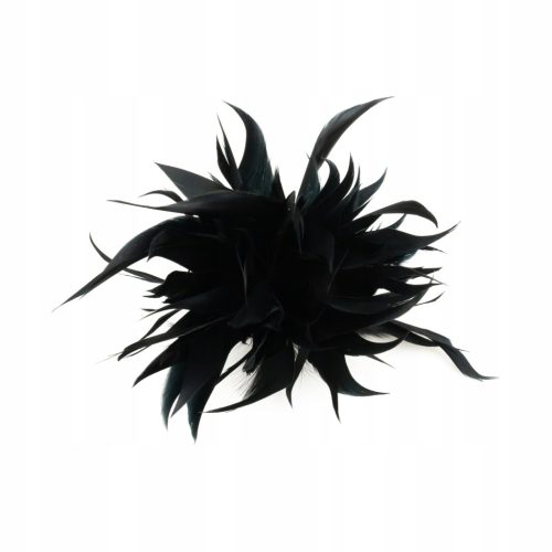  Brooch black goose feathers Hat clasp