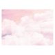 Photo wallpaper SKY CLOUDS Girl Pink 416x254