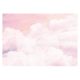 Photo wallpaper SKY CLOUDS Girl Pink 416x254