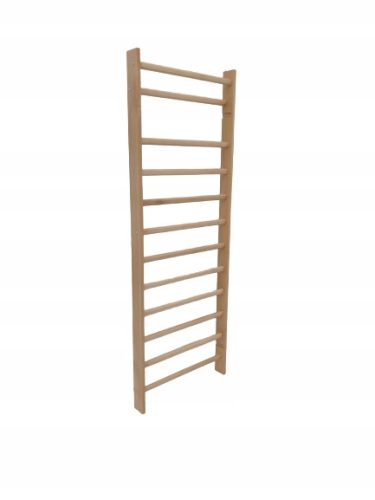  Gymnastic ladder STANDARD 230x80 cm