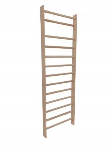  Gymnastic ladder STANDARD 250x90 cm