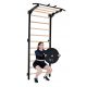  Exercise ladder + pelltech pull-up bar