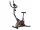  Hertz Sirius 2 Magnetic Upright Exercise Bike