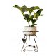  Centurion flower stand Metalwork 42 cm metal