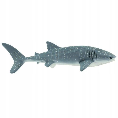  Whale Shark - Whale Shark Safari Ltd. 210602