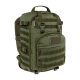Wisport Whistler II 35L Olive Green Tactical Backpack – High Durability & Comfort