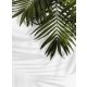 PHOTO WALLPAPER 200x254 non-woven wallpaper BLATT #F154