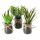 Artificial Flowers and Fruits Artificial Ornamental Plants Boltze 3 pcs.