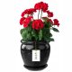 Pots and planters for outdoor and garden Botle flowerpot 28 cm x 28 x 30.5 cm diameter 28 cm ceramic black