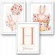  SET OF 3 A3 POSTERS WITH BABY NAMES, RABBIT, FLOWERS