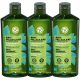  YVES ROCHER Anti-Dandruff Shampoo with Mint 300 ml