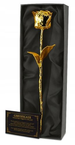 Cool, funny gadgets Gold Rose 24 carat VIP gift for a teacher