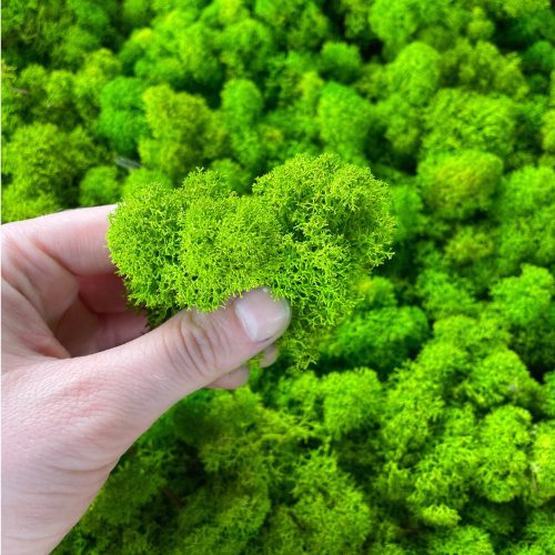 Decorative Moss Dekomoos in a box 300g 30 x 30cm