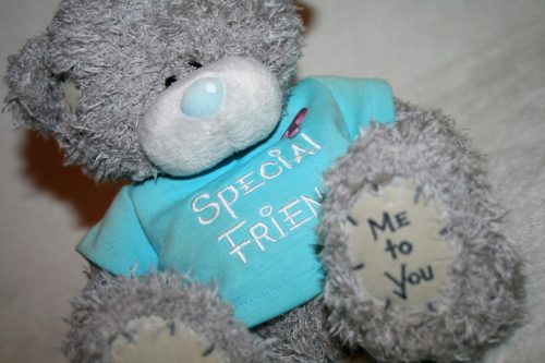  BEAR MASCOT "Me To You" SPECIAL FRIEND