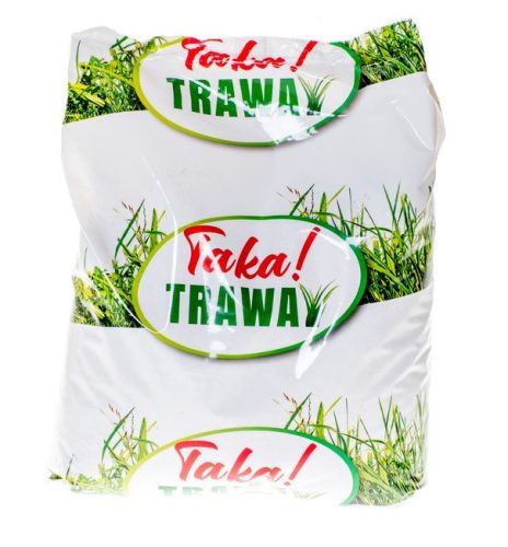  Grass mixture Planta Taka Grass 80 m² 2 kg