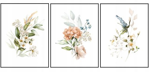 Prints without & with frame. Poster set with graphics with flowers, plant triptych, without frame, 30 x 40 cm