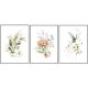 Prints without & with frame. Poster set with graphics with flowers, plant triptych, without frame, 30 x 40 cm