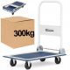 Platform trolley for warehouse transport, 300 kg