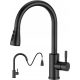 FORIOUS black stand kitchen faucet