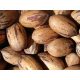  Pecan edible hickory 60-80cm C2