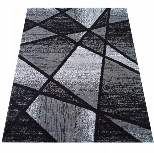 Carpets Carpet with short pile Dywanopol 120 x 170 cm