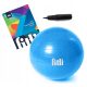  LARGE GYMNASTIC BALL 65 REHABILITATION + PUMP