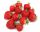  Honeoye - Vibrant - Grandarosa wild strawberries and strawberries, bare root seedling 10-25 cm