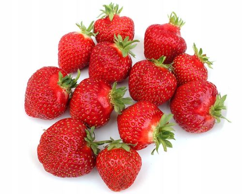  Honeoye - Vibrant - Grandarosa wild strawberries and strawberries, bare root seedling 10-25 cm