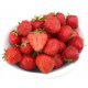  Polka wild strawberries and strawberries - Kent - Christine, bare root seedling 10-25 cm