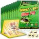  20 x Glue Mousetrap. Glue Mousetrap