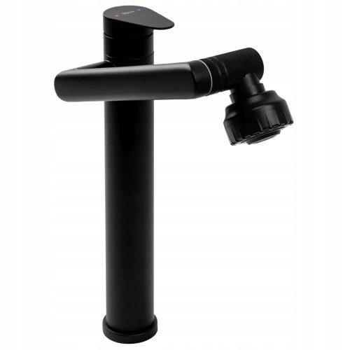 Rea Paco stand-up washbasin faucet, black