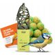  BIRD FEEDING COVER SAM BALLS FAT BALLS 15 PCS