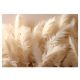 3D FEATHERS photo wallpaper for bedroom, living room, 312x219