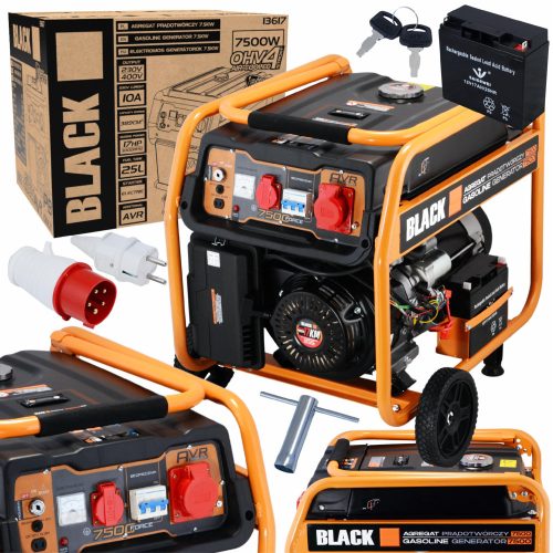 Portable Three-Phase Generator Black 7500 W Petrol