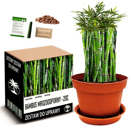  Frost-resistant bamboo cultivation kit – 20 °C