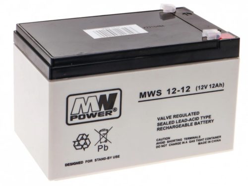  AGM MW POWER MWS 12 V 12 Ah battery