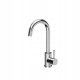 Quadron Kate Stand-Kitchen Faucet, Silver