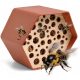  HOTEL FOR BEE MODERN HOUSE UL CAPI EUROPE