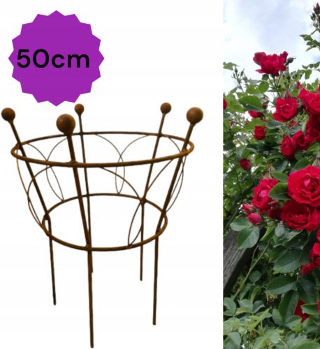 Support for plants, bushes, garden supports, diameter 50 height 60 cm style and quality